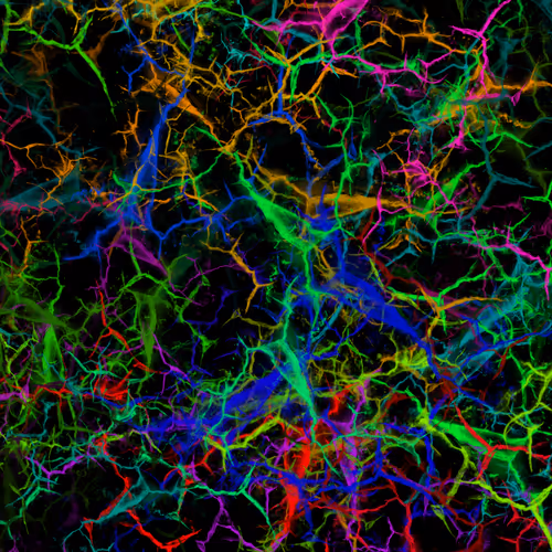 Item #50918555062582210159273167721725581522404743190091886750106034848708748640257 Media