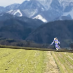 29595913646298183068278621443654980953680451665890479433203796441554025971713