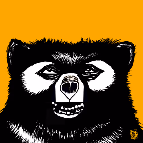 Item #12256084541221245156135028986021526634136884921740396050173767576241995513857 Media