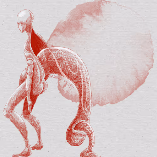 Ha Ning Organs