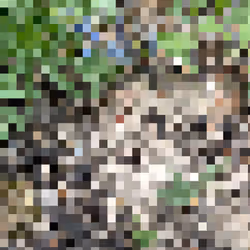 2850415134272365380187775685678842410458265265709128331682257622824002781185