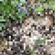 2850415134272365380187775685678842410458265265709128331682257622824002781185