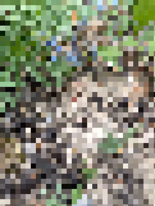 Item #2850415134272365380187775685678842410458265265709128331682257622824002781185 Media