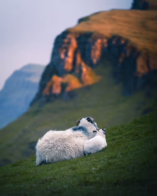 Item #59404681870809906448390957325299961742928436828892721220786848755025637801985 Media