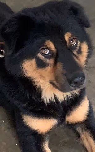 Item #56055091060271351536523847984853154360378800009370414984463609043777006600193 Media