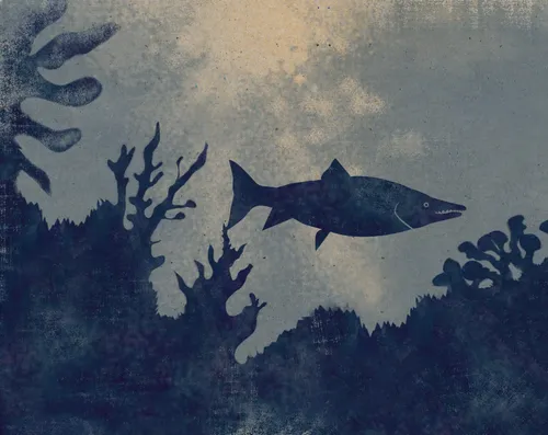 Item #75402606470535323072993465863396388594773696048556013435419036485054355210253 Media