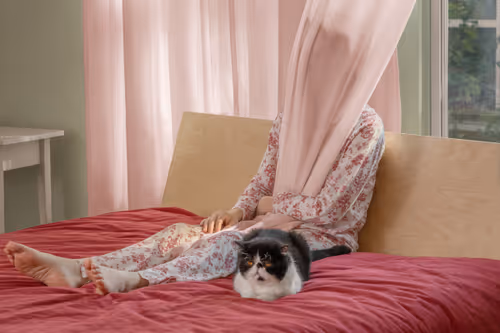 Item #66199238370220987817260704809787442862597280032429936774217036782007924817921 Media