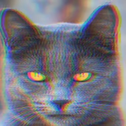 Distorted Cat