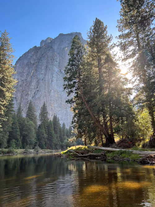 Item #31518355335711817438649398827881658860171578082592051597404980893631568150529 Media