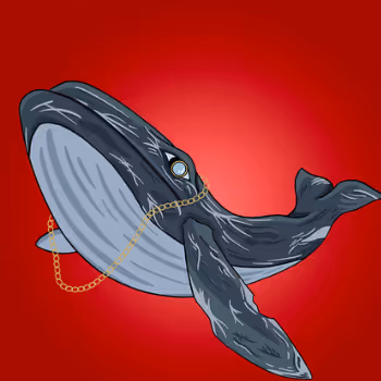 The Whale Brothers ItpbHvHHPs YZ7HE5XqIN