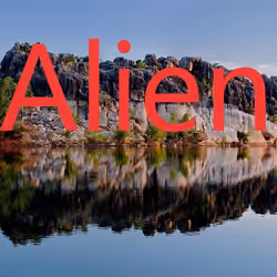 Alien 5/10, Old school windows
