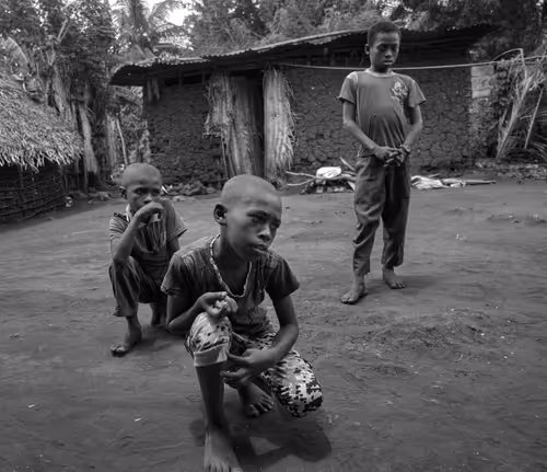 Item #81057615018985245267668409952199543064735075507553677475786031435575636000769 Media