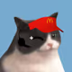 92303754708890637460830726684637459069028556254635882445686513635163824455681