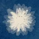 110477367974344333334426119394026957966301743763293328063595940736176995958785