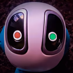 The Bot Live