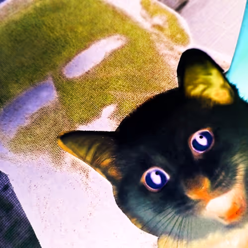 4747115153065902387790593868107453782499677024781155622119189989501916151809