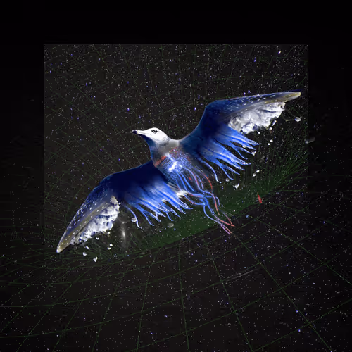 Spacegulls