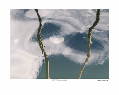 Item #24600310660482288606297797528155087939323639147399647196853483652335399862273 Media