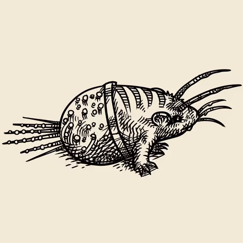 Item #57319268697671272436603797110060872632708398562227121989192562704169956278273 Media