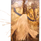 87381765697093084895817299257539348667066481488201105972248053403758089994241