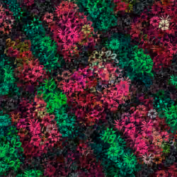 Flowers #101