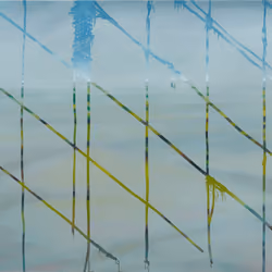 Foggy Window #11