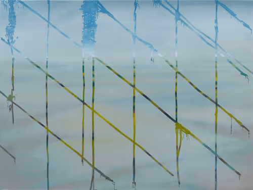 Item #18282085521627783481787354561382703915742723033860282605286975417433578274817 Media