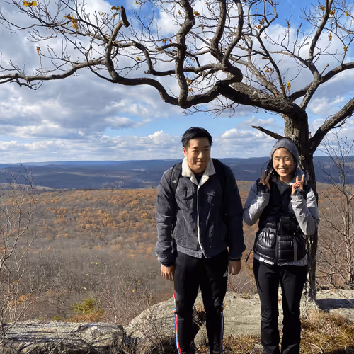 Untitled Collection #28304963