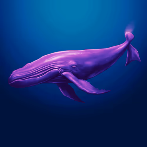 raspberryocean