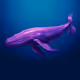 raspberryocean