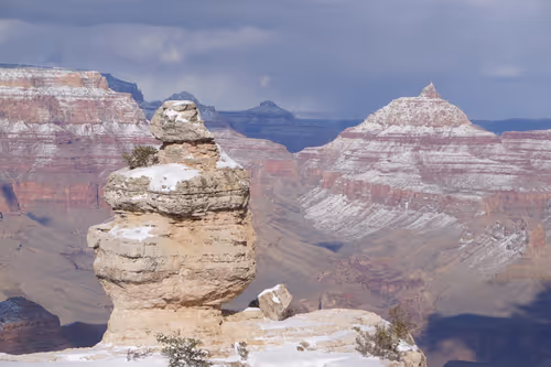 Item #41013704286635162959004487776095067176603519769359421915548602760381551607809 Media