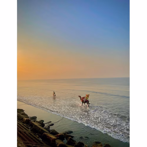 SEA VIEWSW
