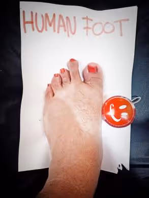 Item #34395980973641121246828452055319560848406752493791223288261827569616796254209 Media