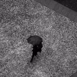 Umbrella