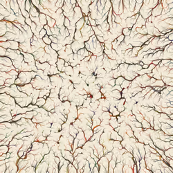 74011109513159304894558377152860080667648997857135590135513699228627991789569