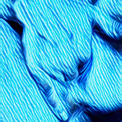 Electric Porn 3 #2/3