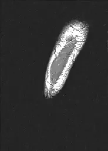 Item #11780915356901891937150191052604117223978980698243640119023280887168587792385 Media