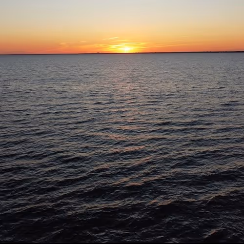 Untitled Collection #21550118