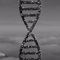D.N.A