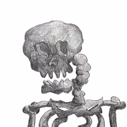 63033294589032175609953230540875017020856096690525001581192813837316767350785