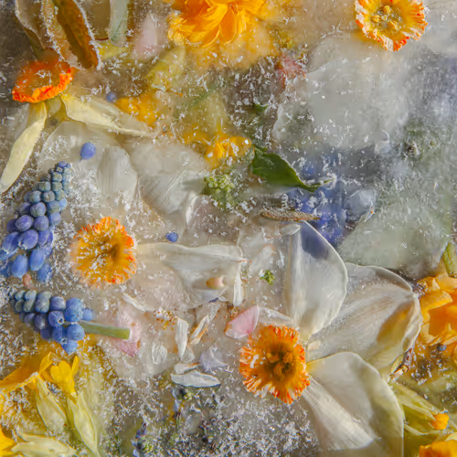 Item #80829721372825377784010953381890255518558028243098186913878117646500316053505 Media