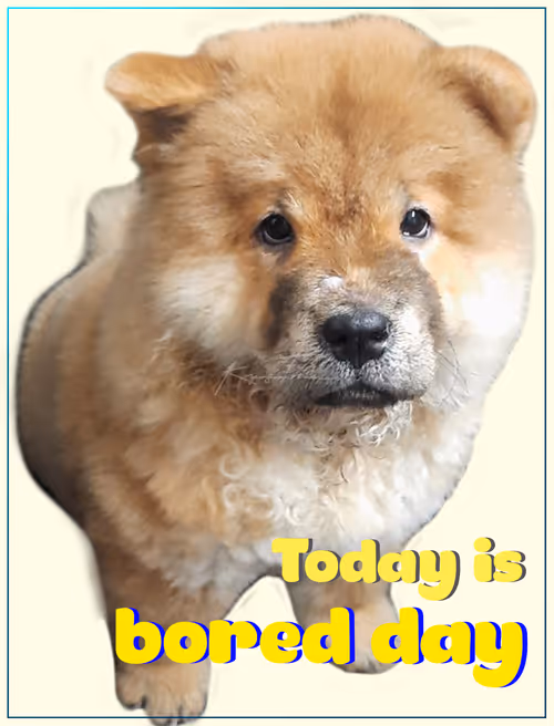 Item #103606411814514267144441239329390381368364317226309774540220525466860050710529 Media