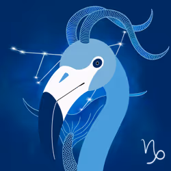 33137338066605849137576024945557489878405487347922267205476094308910154907649