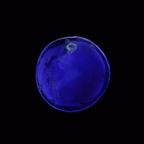Diatomorigins