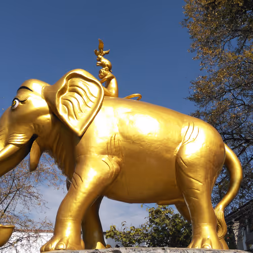 Untitled Collection #436279157