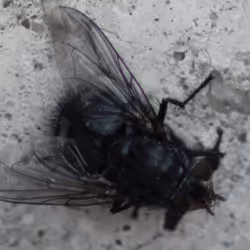 51124555051901614330264480006545612592022390906904121289505624500836073734145