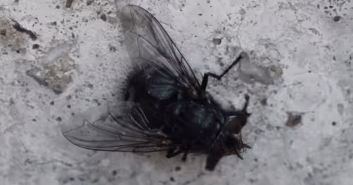 51124555051901614330264480006545612592022390906904121289505624500836073734145