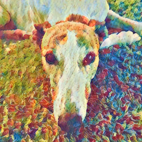 Item #113233535435930126246803406212525192330824104616936385021501681225401781714945 Media