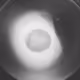 91655460795891887098804899159183960425604164712381906168383259607423023841284