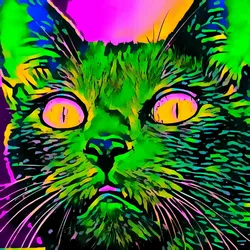 50830097462543580601473563981388698009005024090223633461481089801946042204161